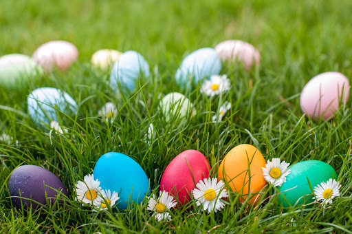 colourful eggs in grass