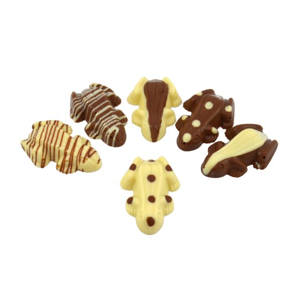 six chocolate frogs