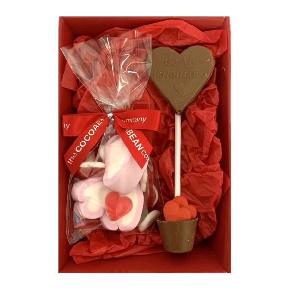 valentines sweets and double lollipop