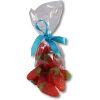 giant strawberries bag with blue ribbon